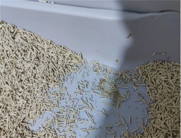 谷物混合猫砂测评：除臭结团快但粘底问题需关注