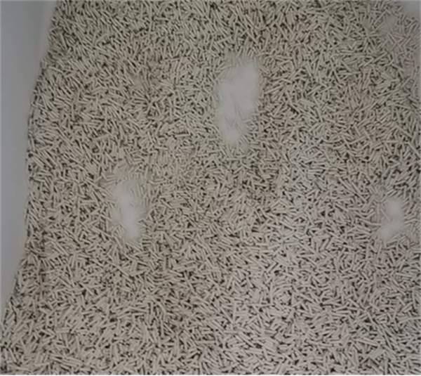 豆腐猫砂实测：除臭结团表现优秀，但气味与价格需权衡