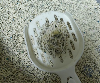 混合猫砂结团效果实测:吸水性好但不够紧实,性价比如何? 混合猫砂结团效果实测:吸水性好但不够紧实,性价比如何?