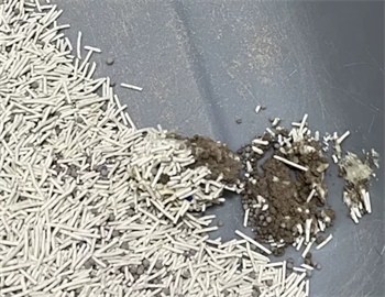混合猫砂实测:无尘不粘底,可冲厕,结团表现如何? 混合猫砂实测:无尘不粘底,可冲厕,结团表现如何?
