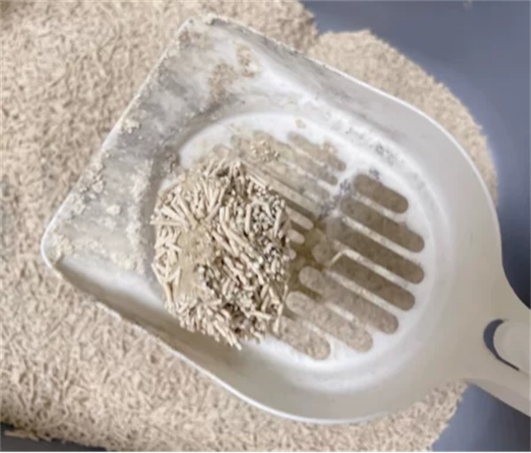 谷物混合猫砂测评：除臭结团快但粘底问题需关注