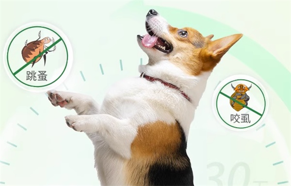 驱虫药测评:专效驱杀跳蚤但价格偏高,适用情况需谨慎选择 驱虫药测评:专效驱杀跳蚤但价格偏高,适用情况需谨慎选择