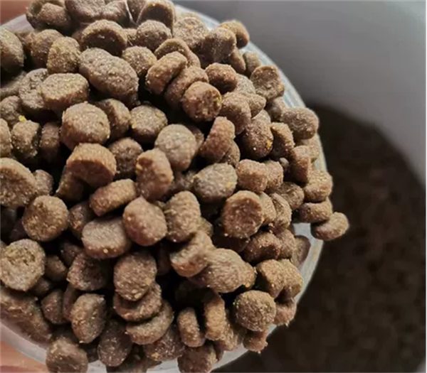 高肉含量无谷猫粮推荐:鸡肉兔肉配方,肠胃友好营养佳 高肉含量无谷猫粮推荐:鸡肉兔肉配方,肠胃友好营养佳