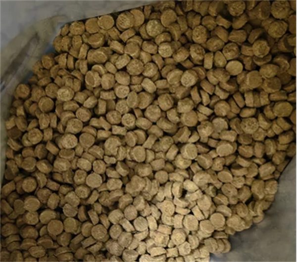 低敏高营养烘焙猫粮深度测评：肠胃友好与性价比解析