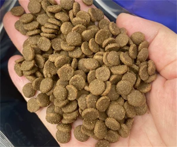 高营养美毛狗粮检测报告深度解析，第三方实测结果揭秘