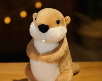 小头大身玩偶设计背后的审美心理与文化意义探析 小头大身玩偶设计背后的审美心理与文化意义探析