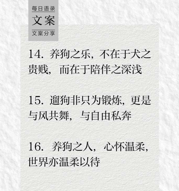 养狗前的15项必备准备，打造健康快乐的养狗生活指南