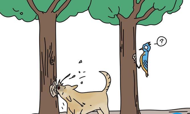 狗狗咬自己原因与应对方法全解析,守护爱犬健康 狗狗咬自己原因与应对方法全解析,守护爱犬健康