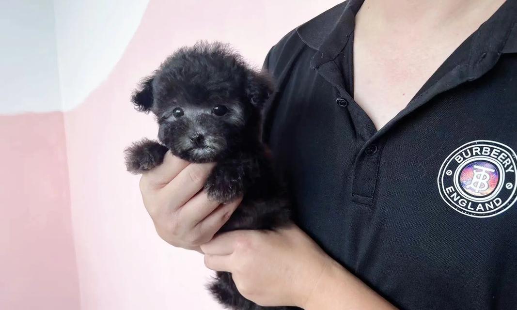 25体身高之谜：科学解析与对社会心理的多维影响