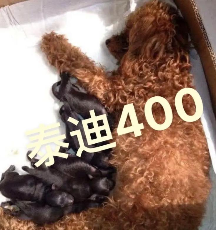 25体身高之谜：科学解析与对社会心理的多维影响