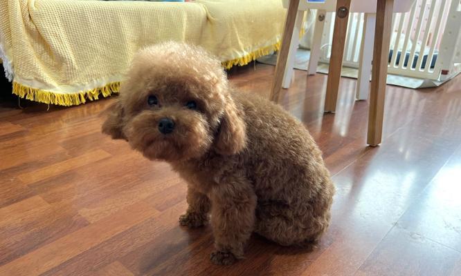 25体身高之谜：科学解析与对社会心理的多维影响