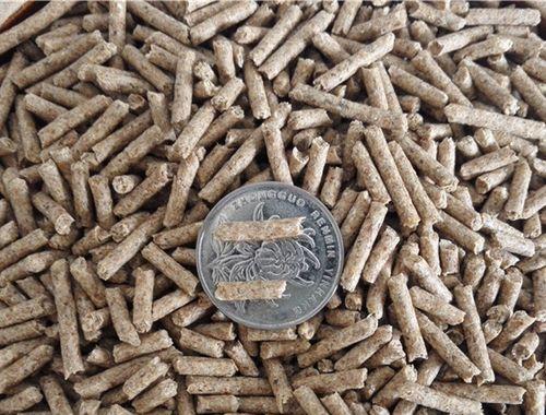 荷兰猪抽筋的常见症状及有效防治方法详解