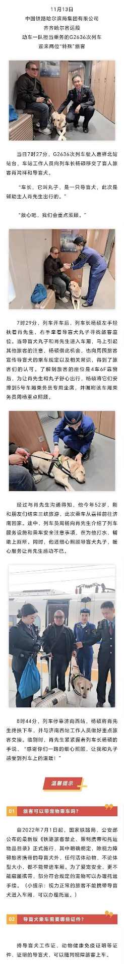 狗狗火车旅行全攻略：文件准备、舒适用品与安全指南