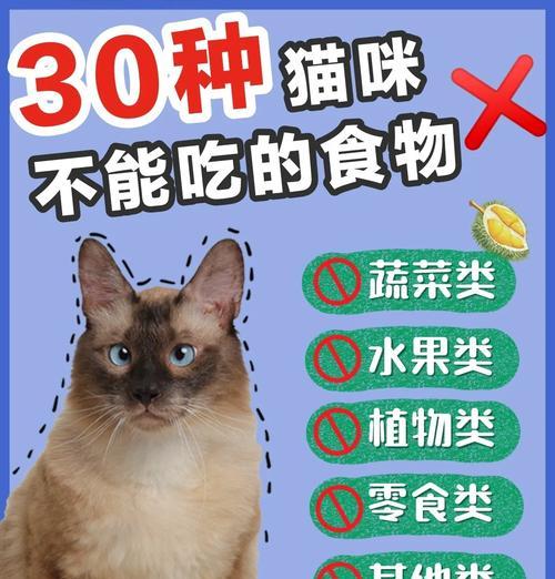 猫咪饮食禁忌与安全食物清单:科学喂养指南 猫咪饮食禁忌与安全食物清单:科学喂养指南
