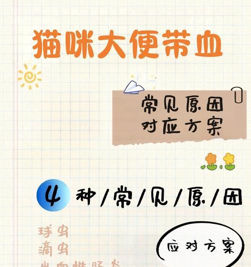 猫粪便稀软原因与预防方法，宠物主必读的健康指南