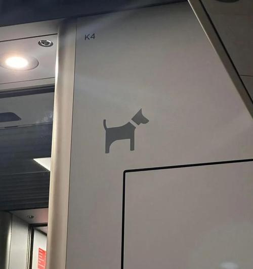 狗狗火车旅行全攻略：文件准备、舒适用品与安全指南