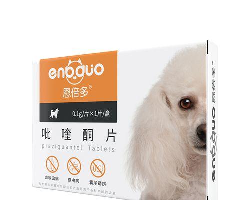 宠物资讯