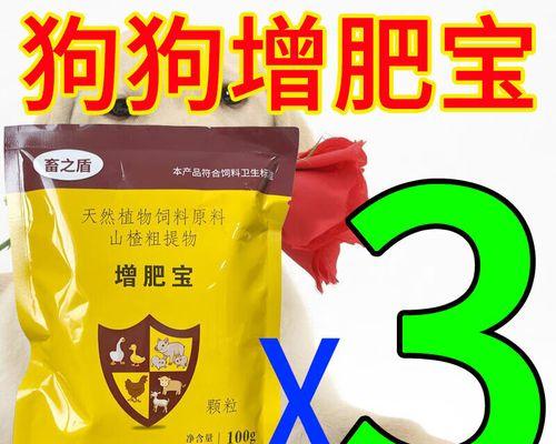 如何通过选择正确狗粮控制犬只体重，维持宠物健康