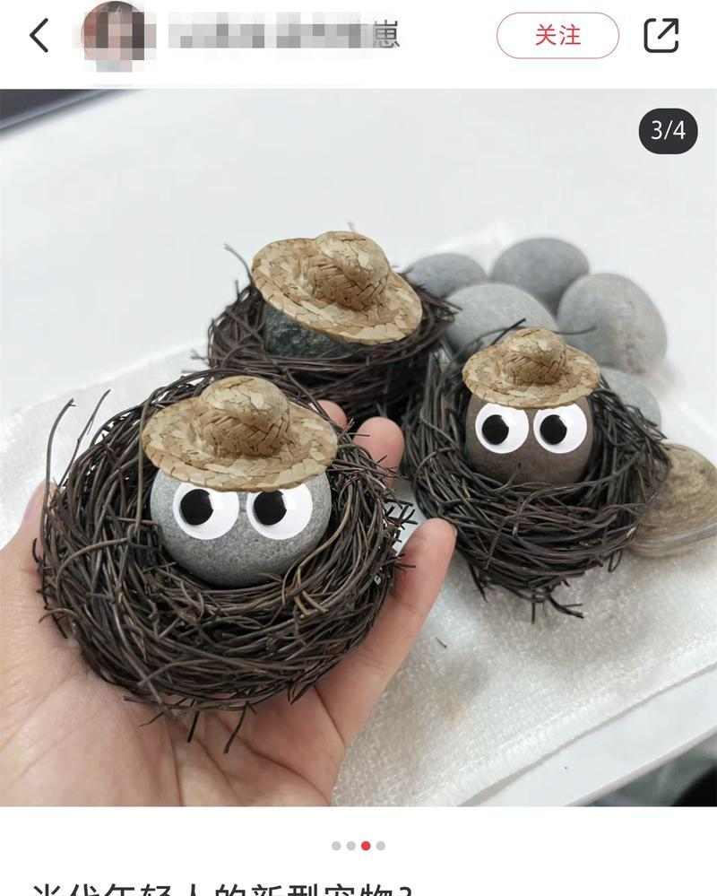 宠物爱好者的职业选择:从爱好到事业的多元发展路径 宠物爱好者的职业选择:从爱好到事业的多元发展路径