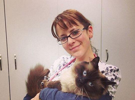 宠物爱好者的职业选择:从爱好到事业的多元发展路径 宠物爱好者的职业选择:从爱好到事业的多元发展路径