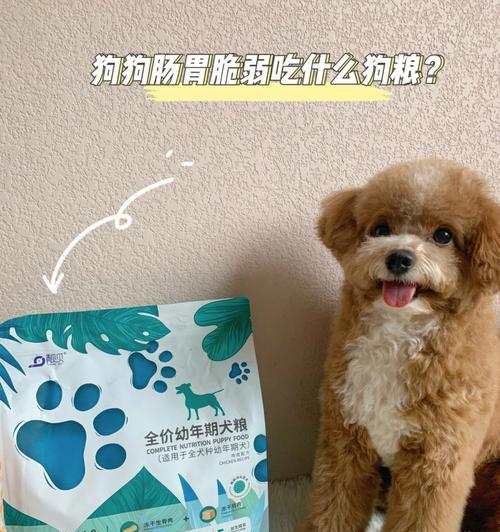 幼犬奶粉喂养全攻略：营养选择与正确喂食方法