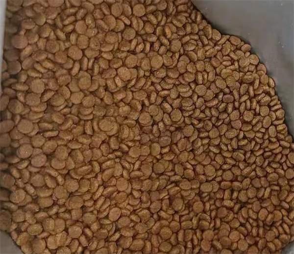 幼猫粮如何挑选？营养均衡与高性价比的平衡之道