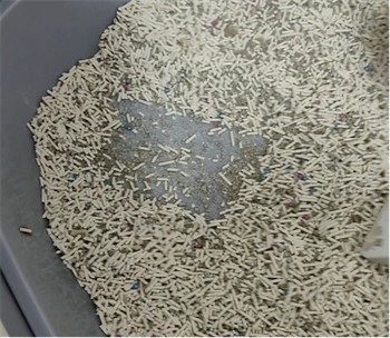 混合猫砂真实测评:除臭结团表现如何?优缺点全解析 混合猫砂真实测评:除臭结团表现如何?优缺点全解析