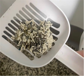 高性价比混合猫砂测评：结团快粉尘少除臭效果佳