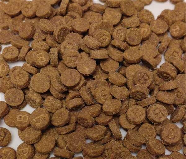 低温烘焙猫粮评测:缓解泪痕与泌尿道健康,低敏易消化配方如何? 低温烘焙猫粮评测:缓解泪痕与泌尿道健康,低敏易消化配方如何?