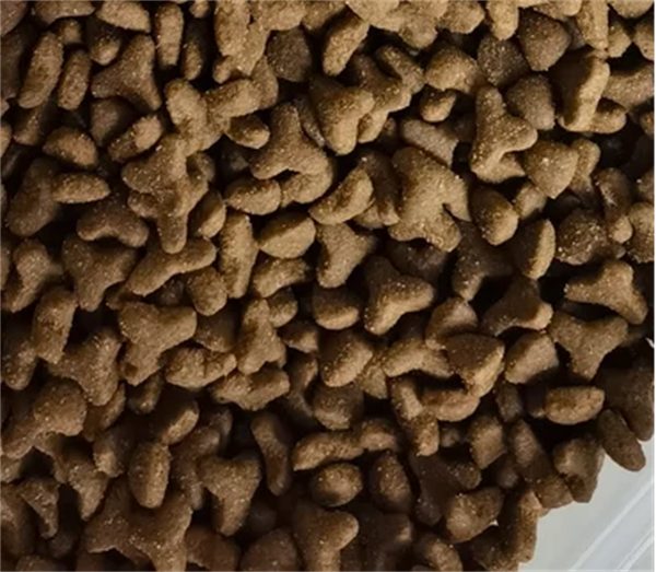 无谷物猫粮成分深度解析与性价比选购指南，适合预算有限养猫家庭