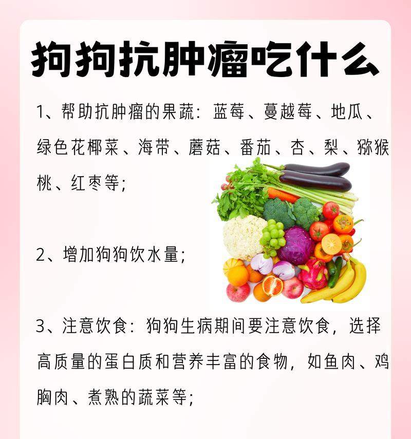 狗狗蛋白质来源选择与营养均衡指南:按年龄体重科学配比 狗狗蛋白质来源选择与营养均衡指南:按年龄体重科学配比