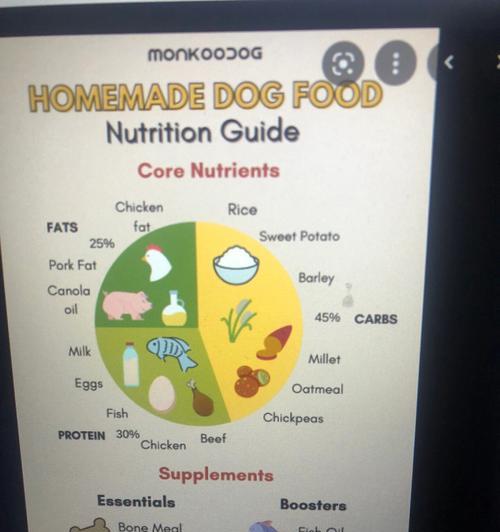 拉布拉多犬饮食营养指南：科学搭配促进健康与活力
