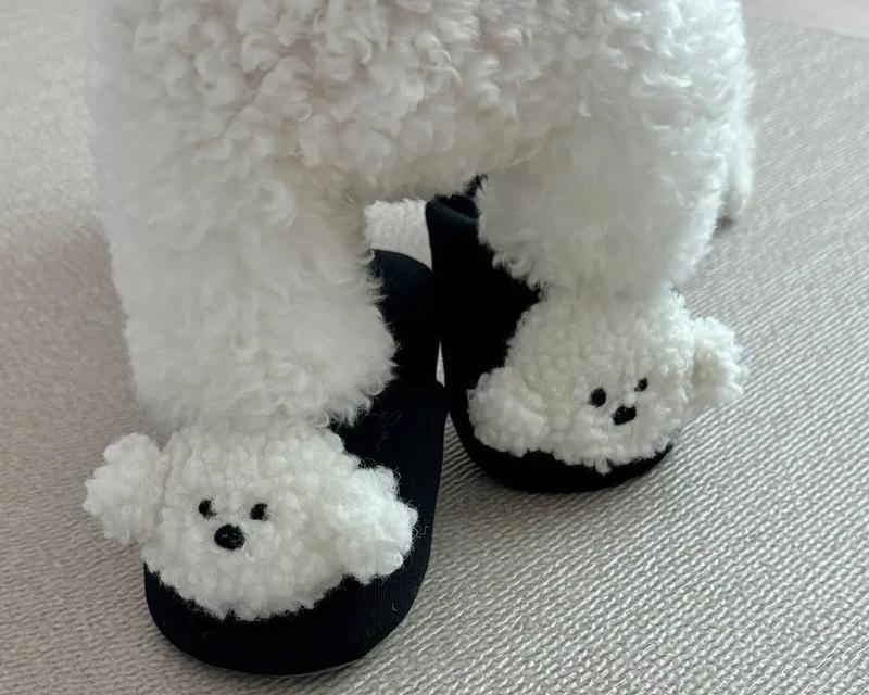 狗狗爱咬拖鞋的科学原因与纠正方法，教你正确引导宠物行为