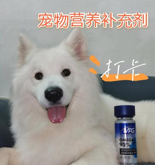 不同宠物食用专用饲料的营养价值分析与饲喂注意事项 不同宠物食用专用饲料的营养价值分析与饲喂注意事项