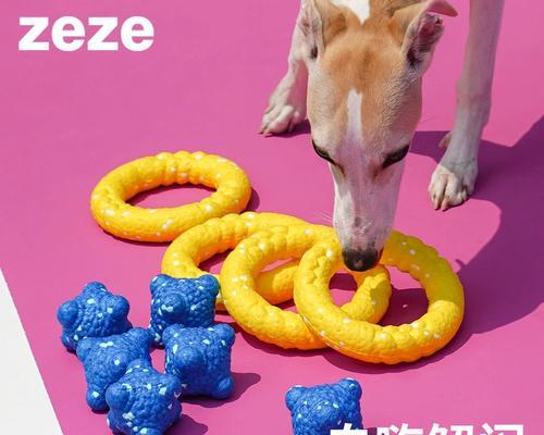 网球训练提升小狗反应与协调能力的方法与技巧