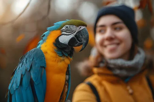 鹦鹉嗉囊功能解析与常见异常表现,饲主必读的护理指南 鹦鹉嗉囊功能解析与常见异常表现,饲主必读的护理指南