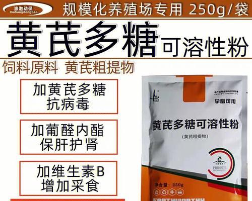 细小犬饮食调理指南:推荐食物与营养方案 细小犬饮食调理指南:推荐食物与营养方案