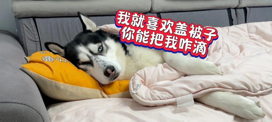 睡觉盖被子的科学益处与健康原理，提升睡眠质量的关键