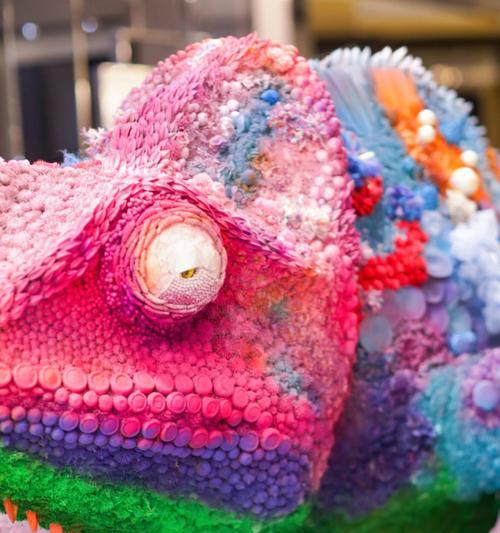 高冠变色食用价值解析与健康益处揭秘