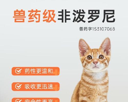 猫驱虫药见效时间与选择指南，守护爱宠健康