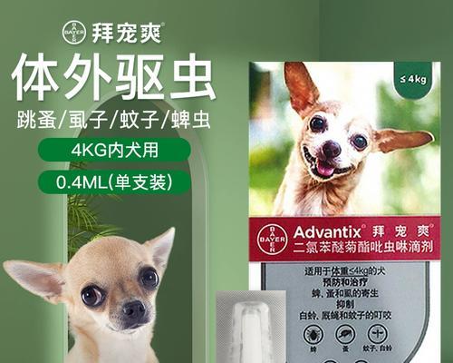 狗狗体外驱虫药怎么选?健康驱虫方法与保护指南 狗狗体外驱虫药怎么选?健康驱虫方法与保护指南