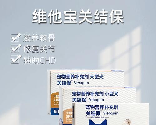 老年犬关节炎药物选择指南：常用药物与效果解析