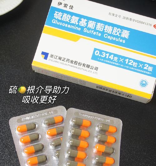 老年犬关节炎药物选择指南：常用药物与效果解析