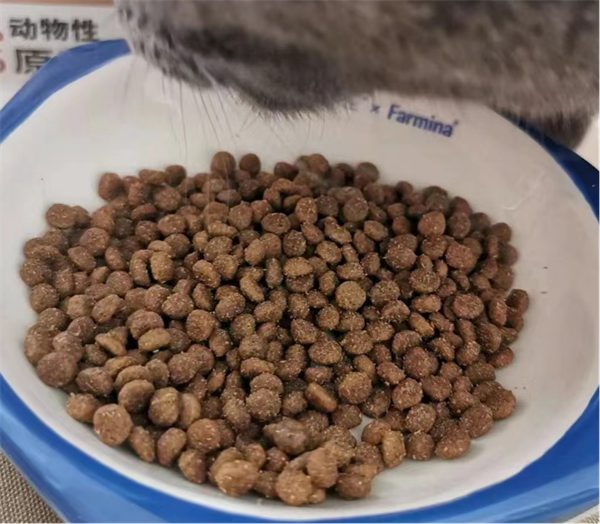 单一肉源鲜肉猫粮深度测评：低敏高营养，适口性如何？