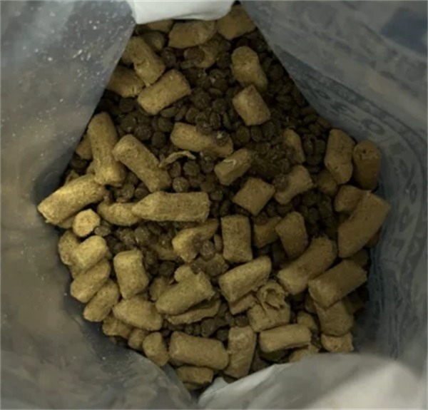 乳鸽猫粮深度测评|高性价比国产猫粮推荐，营养与适口性兼备