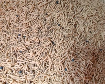 混合猫砂好用吗?实测告诉你结团、除臭与性价比表现 混合猫砂好用吗?实测告诉你结团、除臭与性价比表现