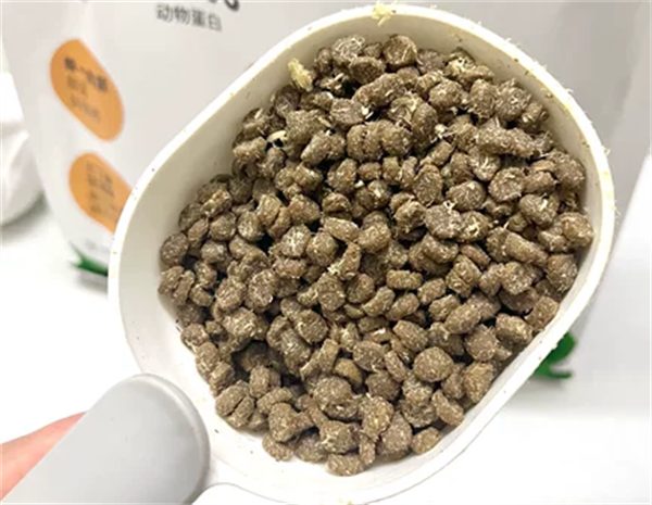 升级版无谷猫粮值得买吗?配方调整后肠胃友好但营养有妥协 升级版无谷猫粮值得买吗?配方调整后肠胃友好但营养有妥协