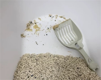 混合猫砂好用吗?实测告诉你结团、除臭与性价比表现 混合猫砂好用吗?实测告诉你结团、除臭与性价比表现