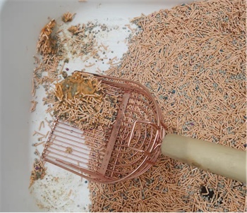 实测:柿子混合猫砂好用吗?优缺点分析与选购建议 实测:柿子混合猫砂好用吗?优缺点分析与选购建议