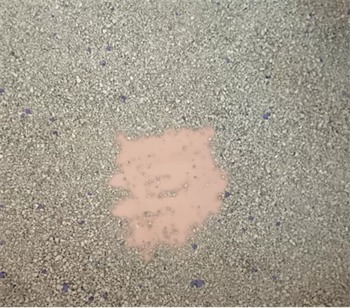 进口矿砂深度测评:脚感优秀却带砂严重,如何选择? 进口矿砂深度测评:脚感优秀却带砂严重,如何选择?